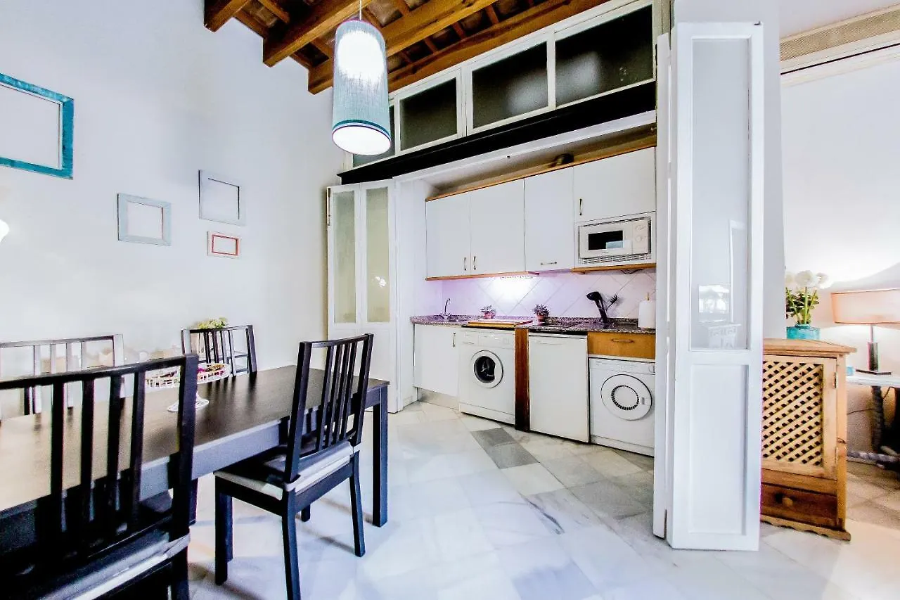 Apartamento Maydole - Vistas A La Catedral Apartment Seville Spain